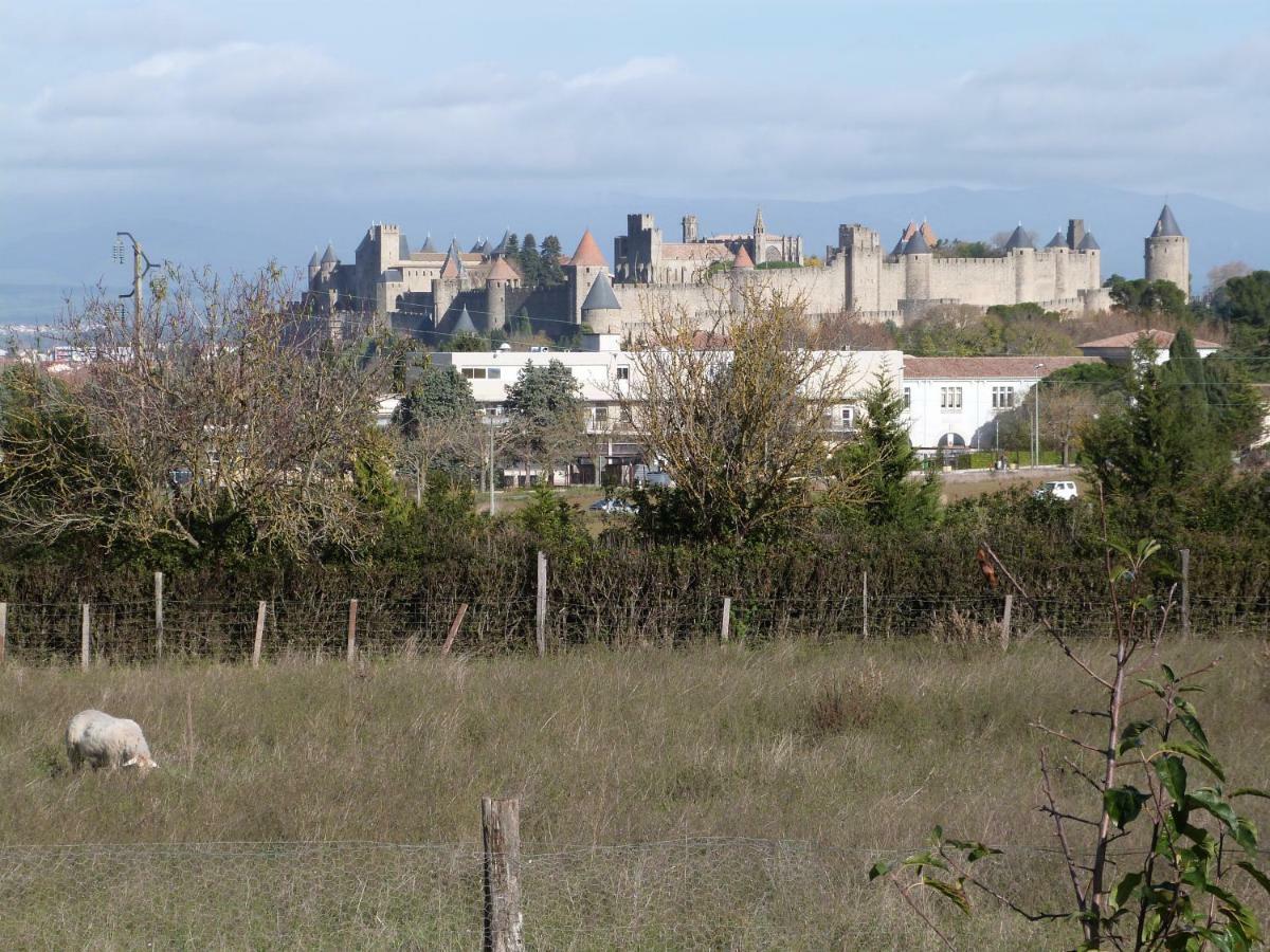 Gite Des Figuiers Carcassonne Exterior foto